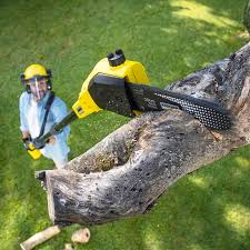 Best Lawn Disease Treatment  in Bruce, MS